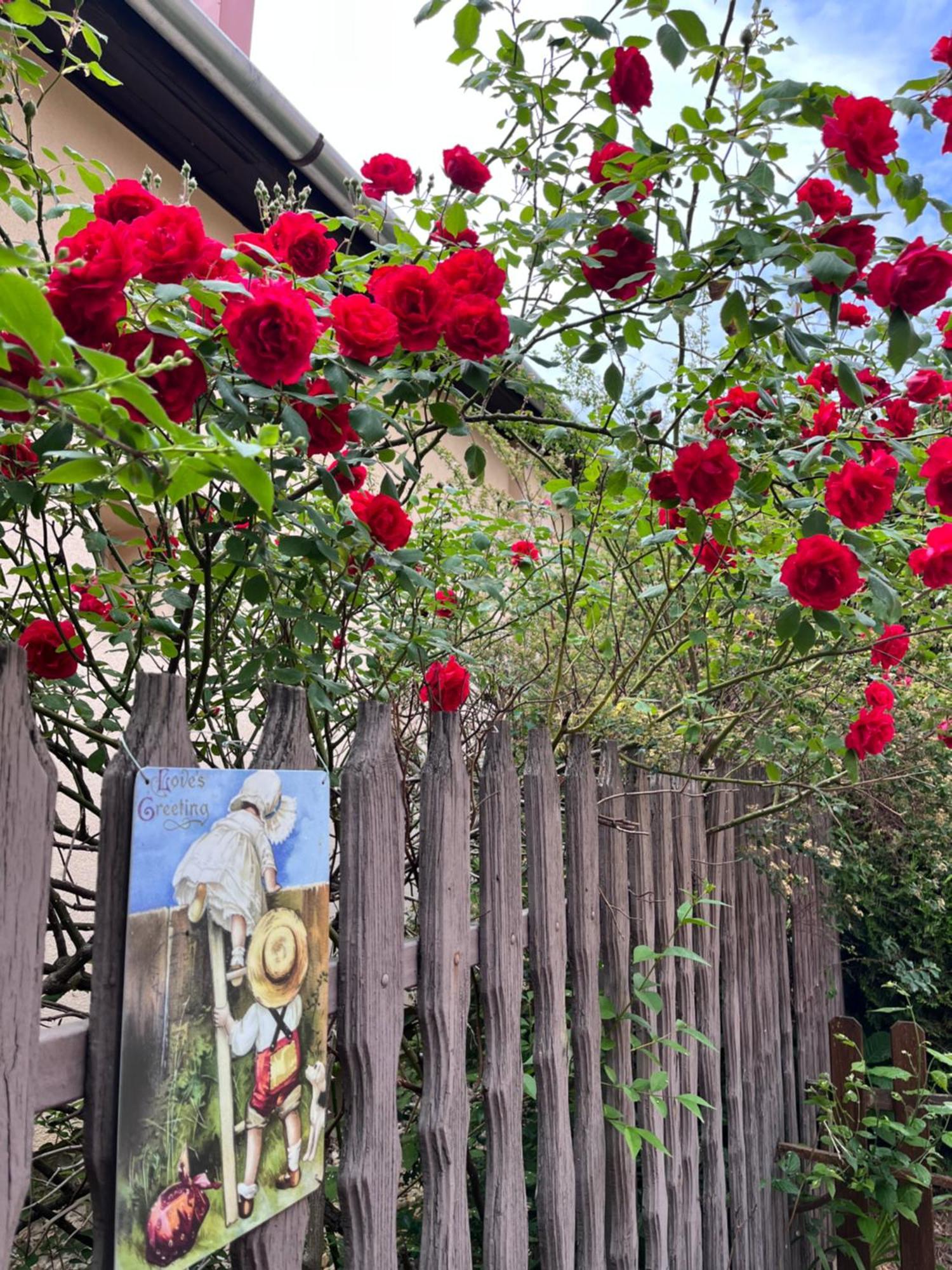 Garden Villa 布达佩斯 外观 照片